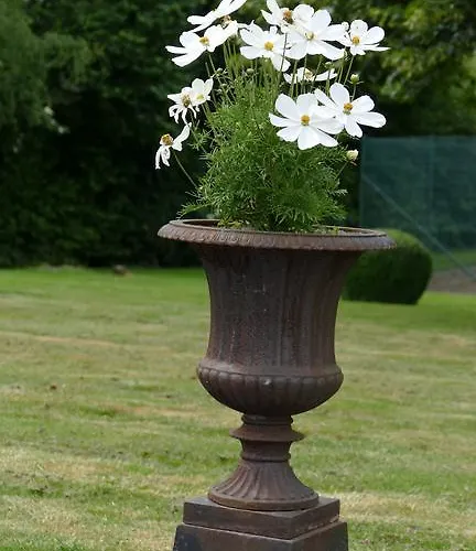 Couette-café Aux Cosmos Olne